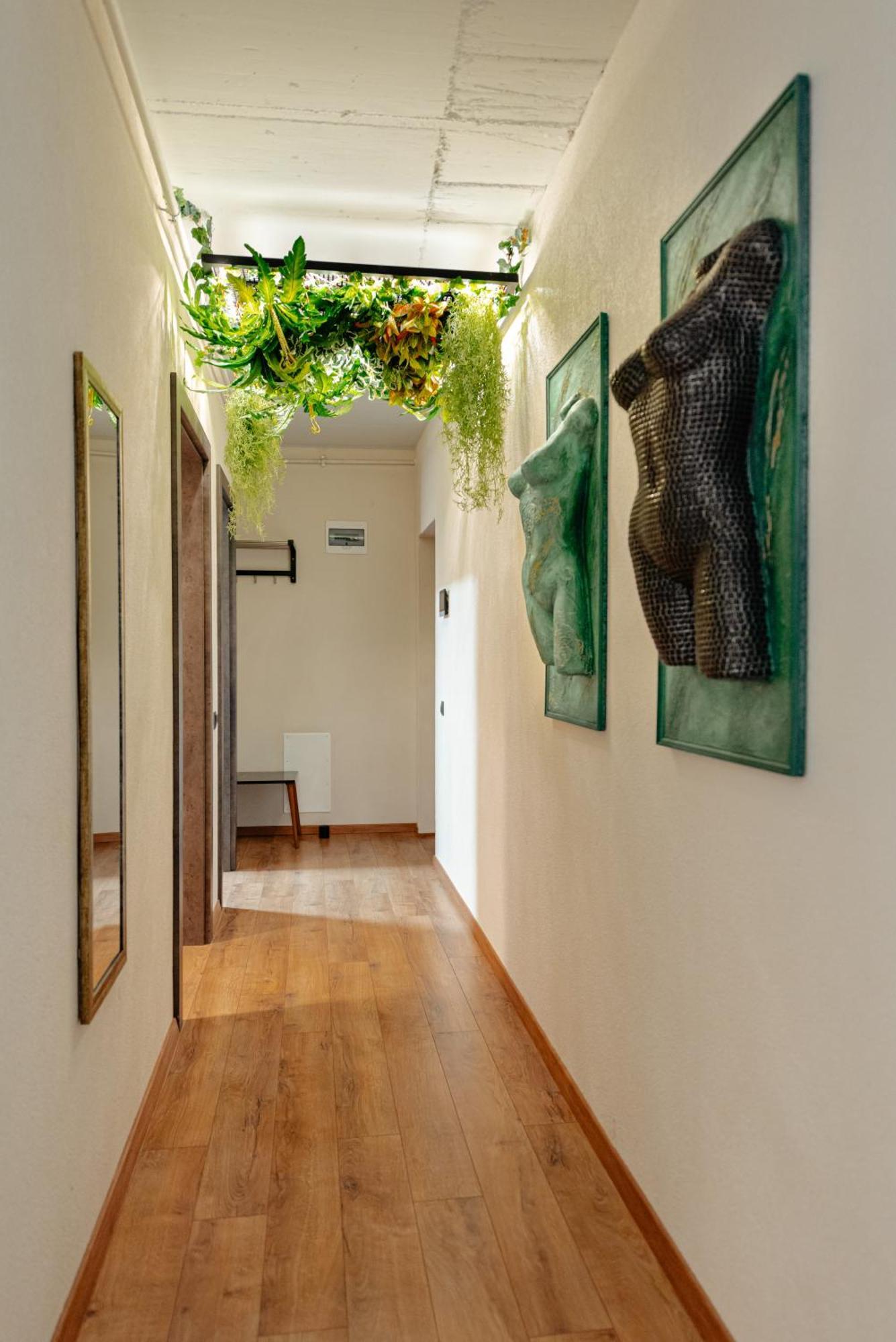 Centro Accommodation Κλουζ-Ναπόκα Εξωτερικό φωτογραφία
